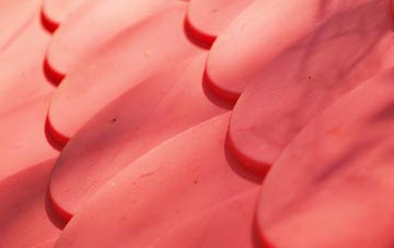 Achanelid plastic roof costs